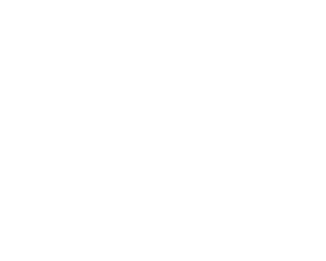 Web-Graphix